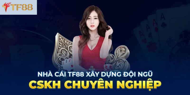 Giới thiệu Tf88 - Dịch vụ chăm sóc khách hàng tại TF88 vô cùng chuyên nghiệp